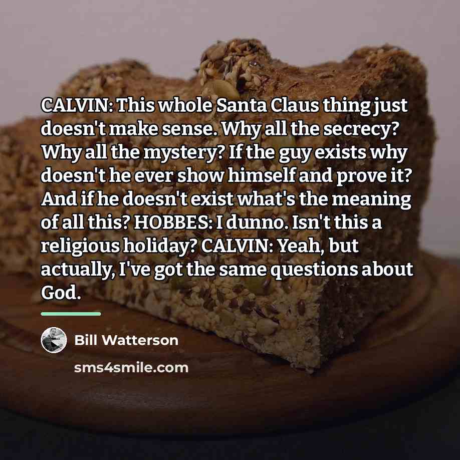 “CALVIN: This whole Santa Claus thing just doesn't make sense.…” quote by Bill Watterson