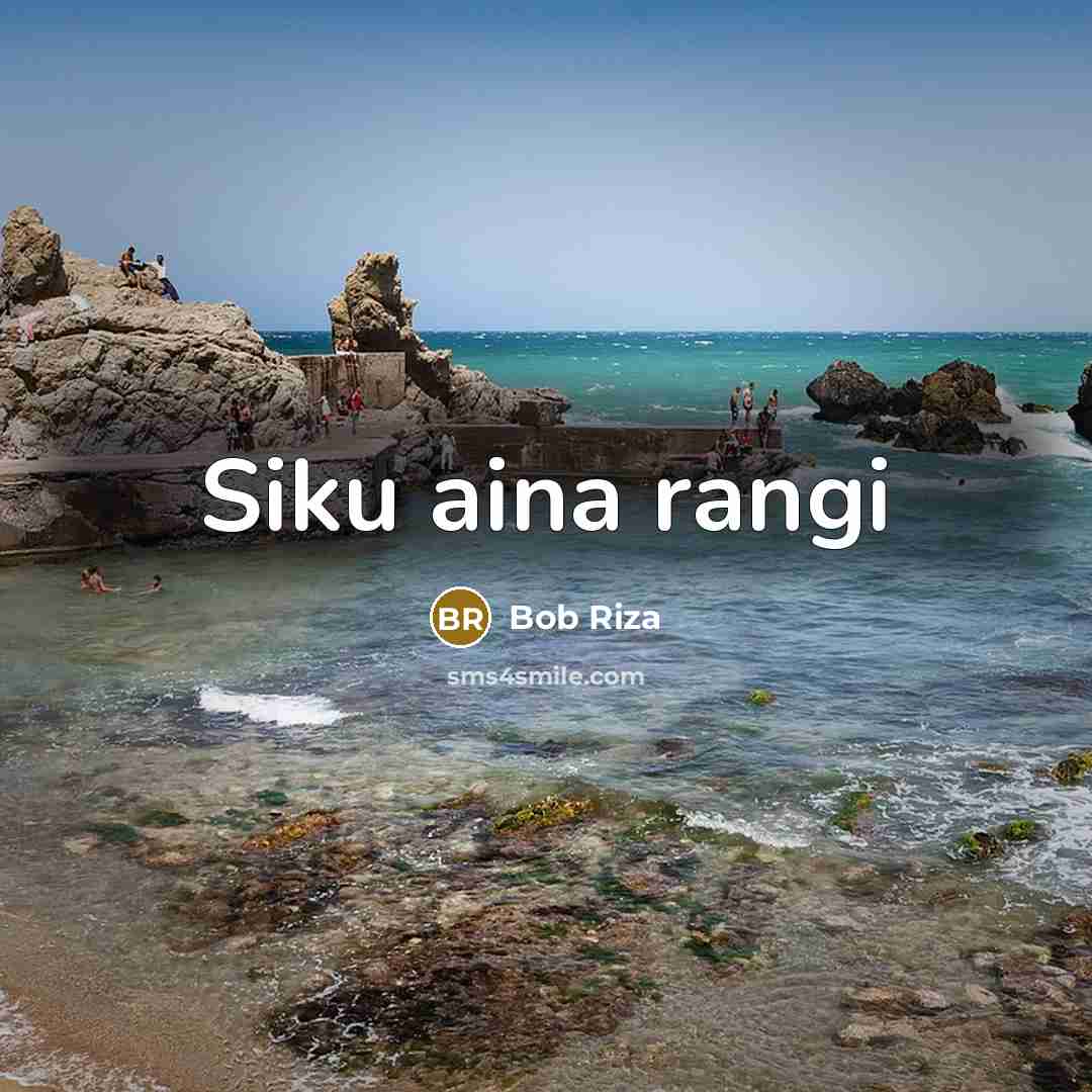 “Siku aina rangi” quote by Bob Riza