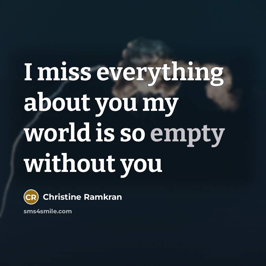 “I miss everything about you my world is so empty…” quote by Christine Ramkran