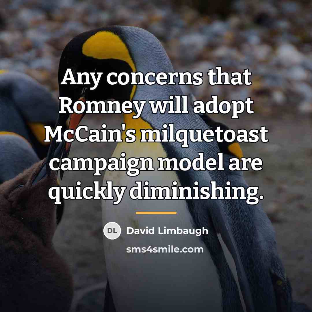 “Any concerns that Romney will adopt McCain's milquetoast campaign model…” quote by David Limbaugh