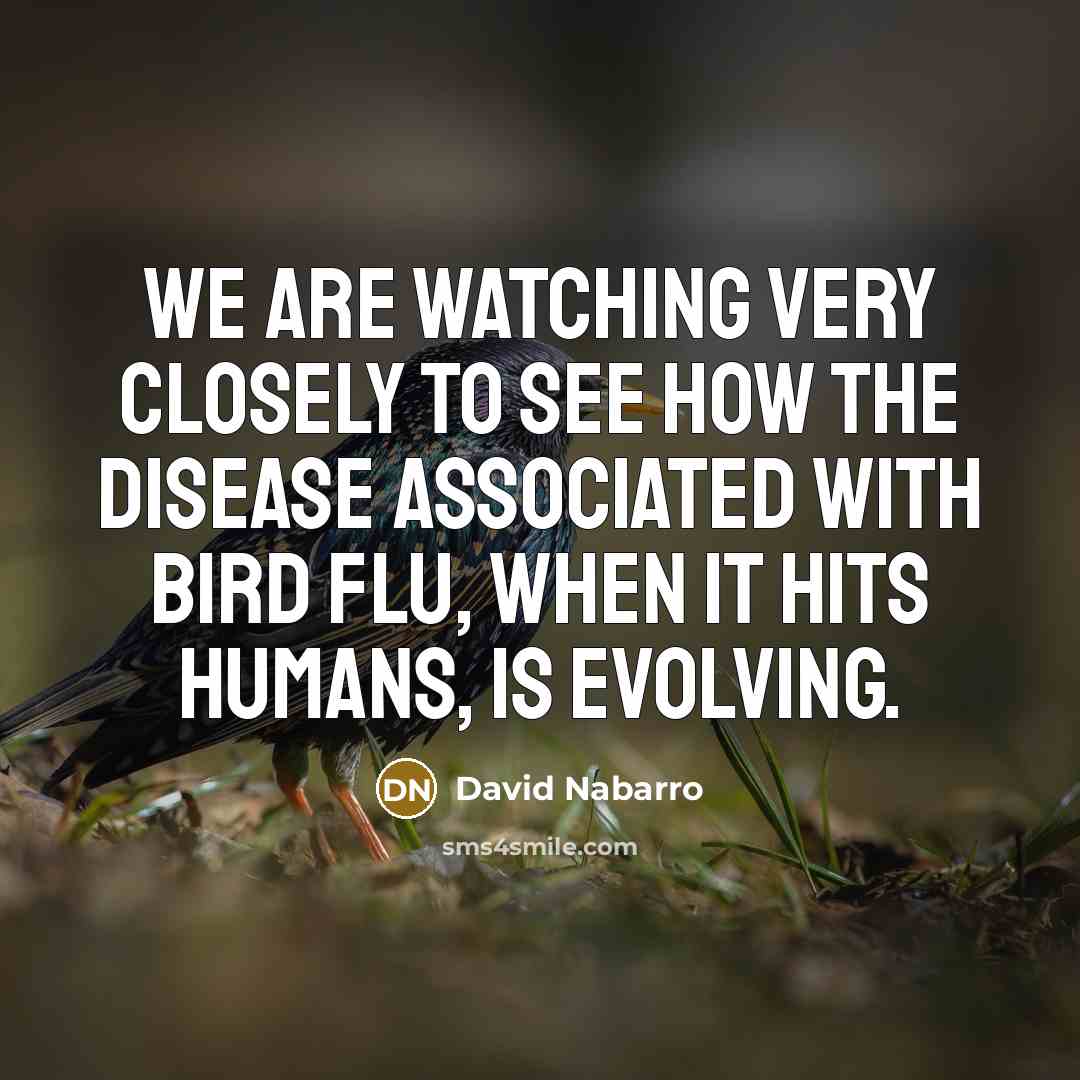 “We are watching very closely to see how the disease…” quote by David Nabarro