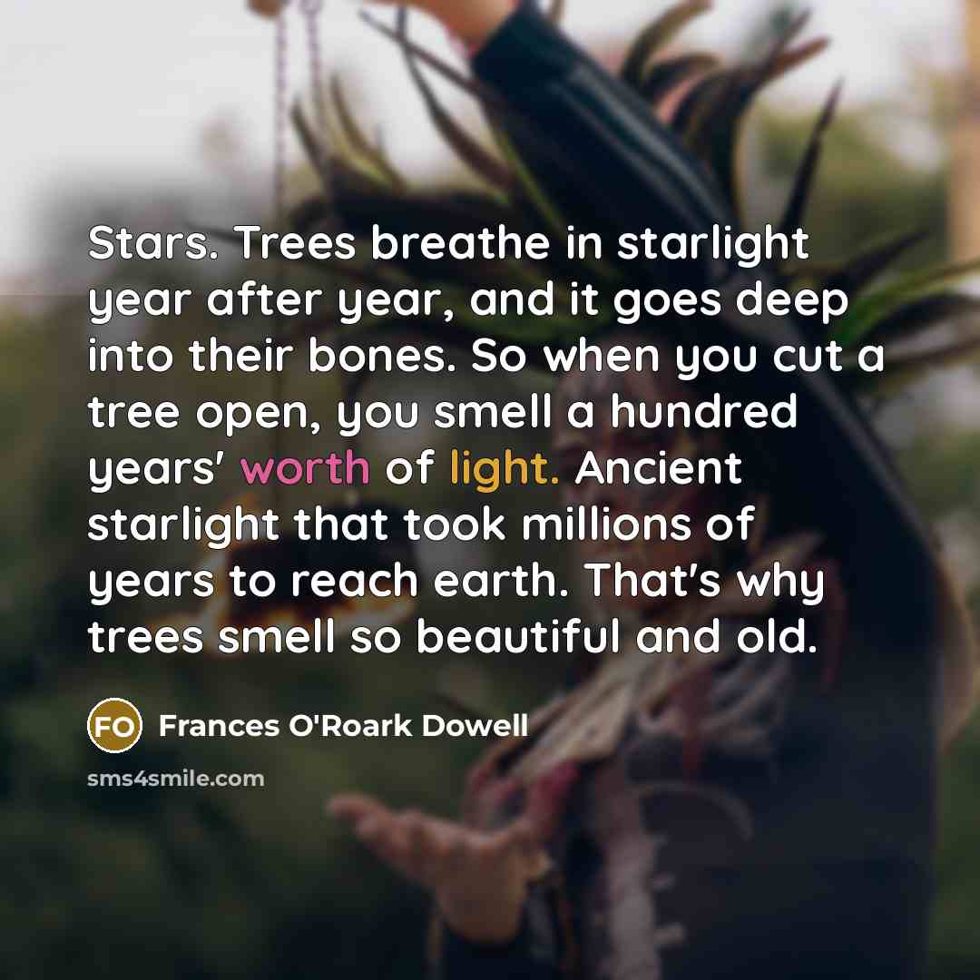 “Stars. Trees breathe in starlight year after year, and it…” quote by Frances O'Roark Dowell