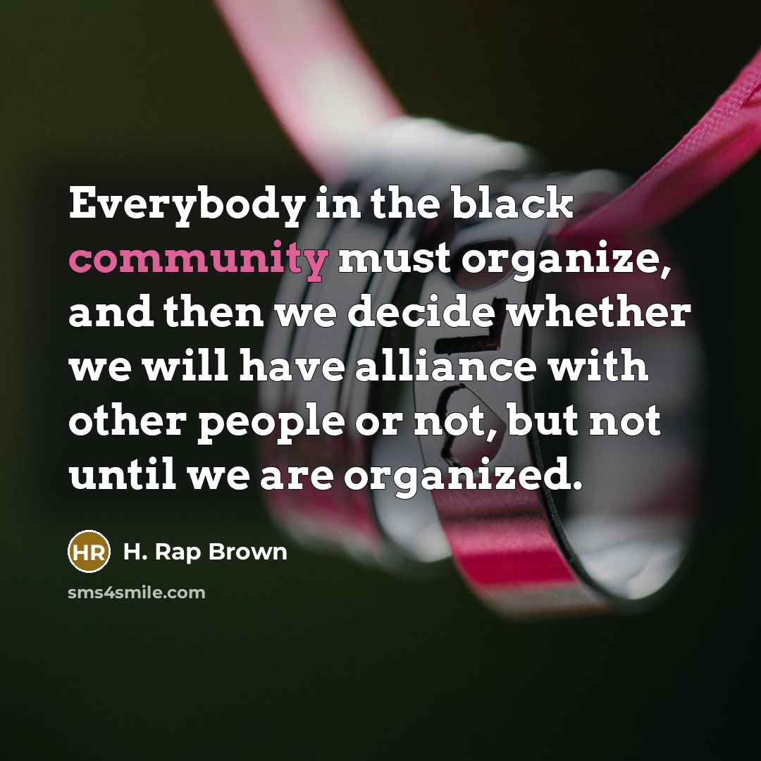 “Everybody in the black community must organize, and then we…” quote by H. Rap Brown