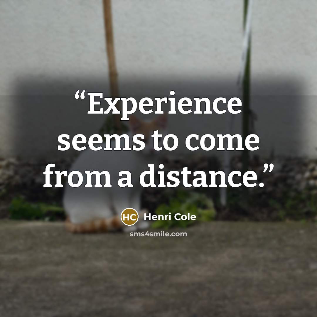 “Experience seems to come from a distance.” quote by Henri Cole