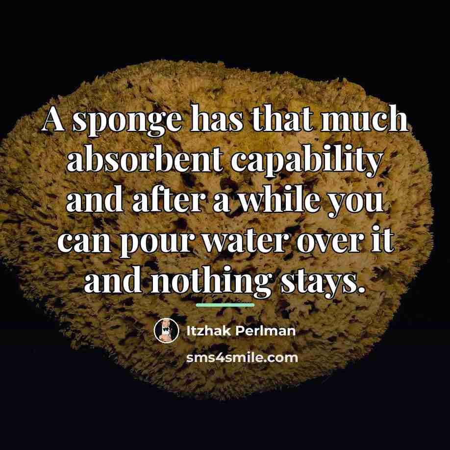 “A sponge has that much absorbent capability and after a…” quote by Itzhak Perlman