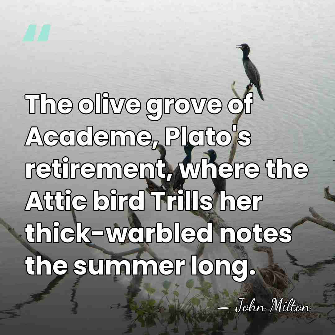 The olive grove of Academe, Plato's retirement, where the Attic bird Trills&hellip; - John Milton