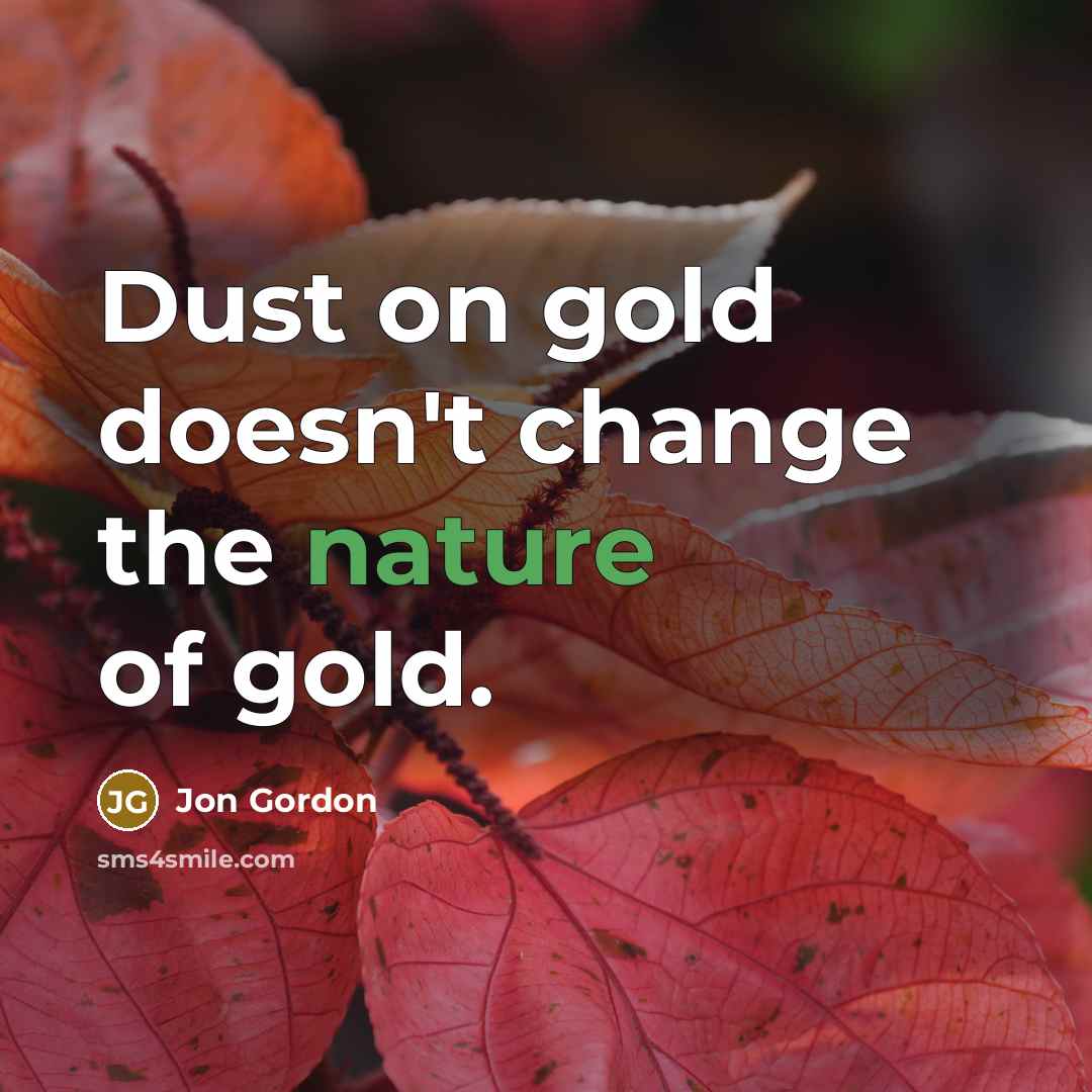 “Dust on gold doesn't change the nature of gold.…” quote by Jon Gordon