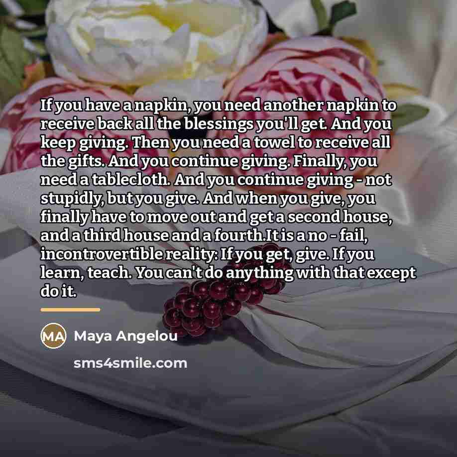 “If you have a napkin, you need another napkin to…” quote by Maya Angelou