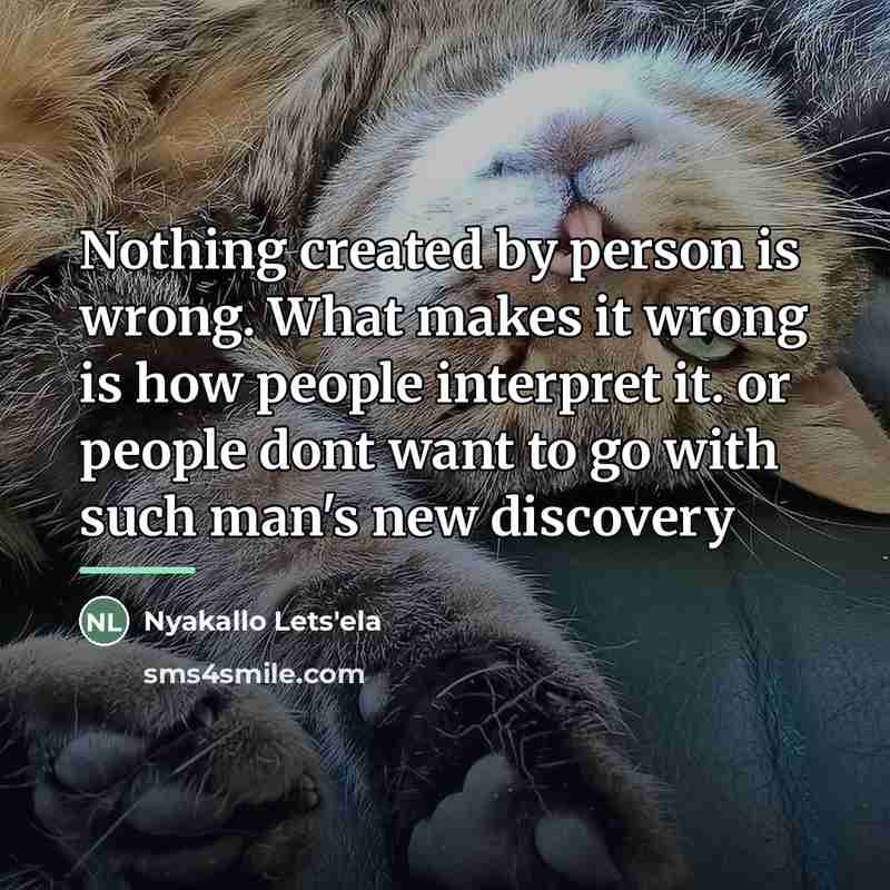 “Nothing created by person is wrong. What makes it wrong…” quote by Nyakallo Lets'ela