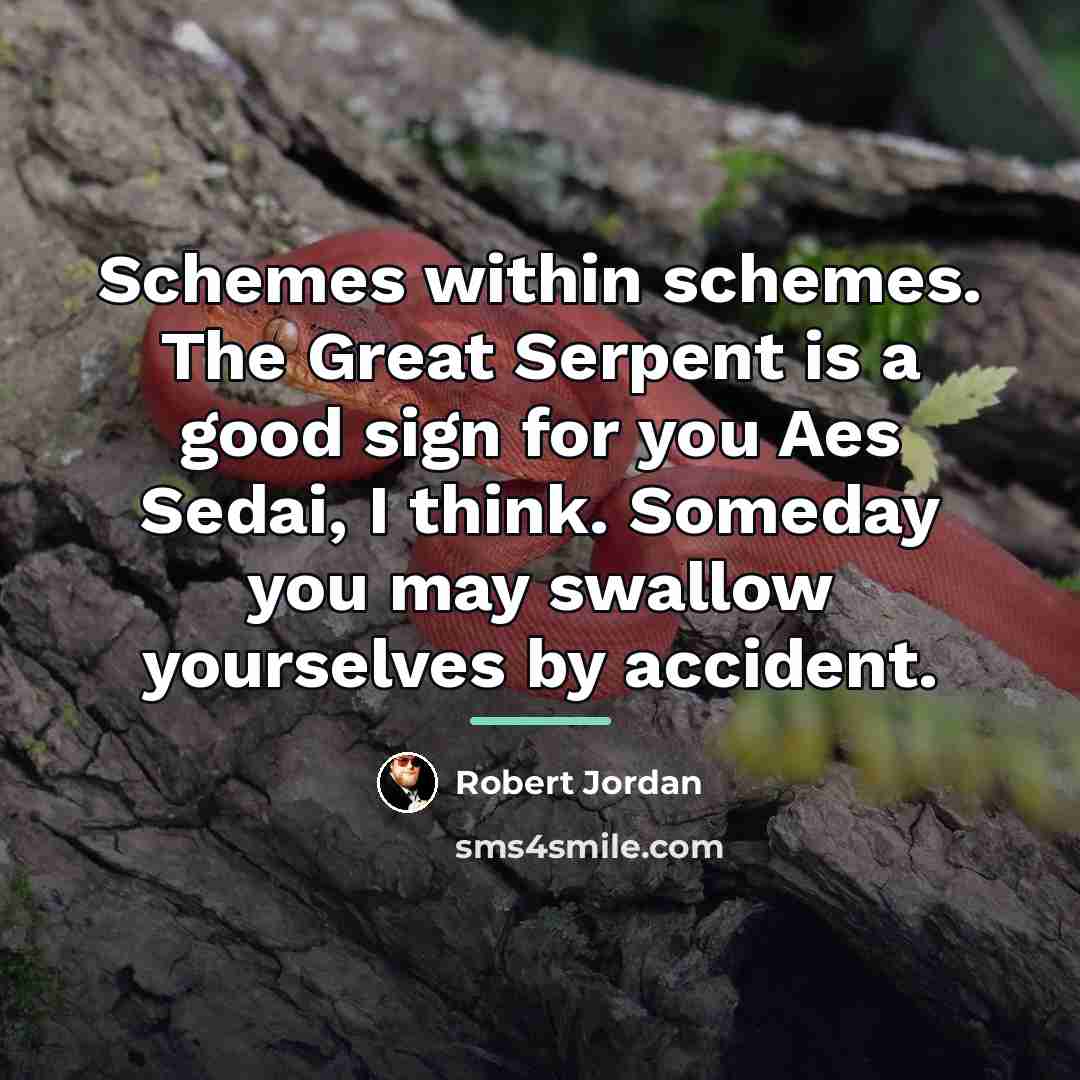 “Schemes within schemes. The Great Serpent is a good sign…” quote by Robert Jordan
