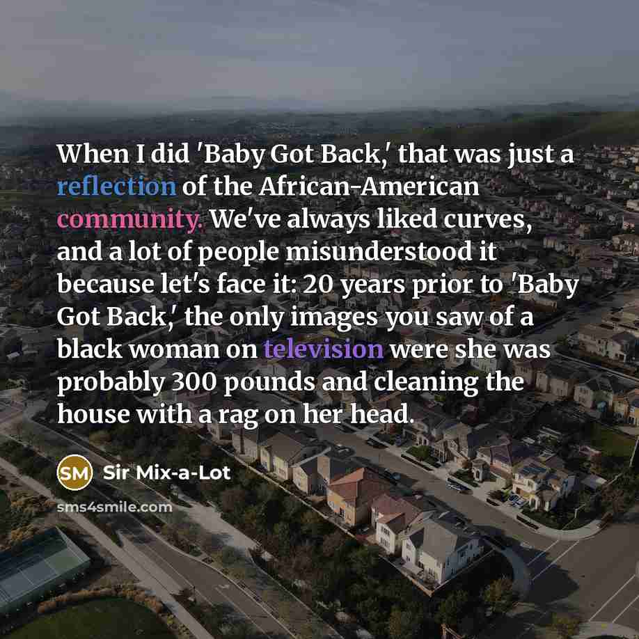 “When I did 'Baby Got Back,' that was just a reflection of the African-American community. We've always liked curves, and a lot of people misunderstood it because let's face it: 20 years prior to 'Baby Got Back,' the only images you saw of a black woman on television were she was probably 300…” quote by Sir Mix-a-Lot