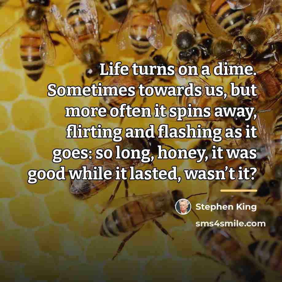 “Life turns on a dime. Sometimes towards us, but more…” quote by Stephen King