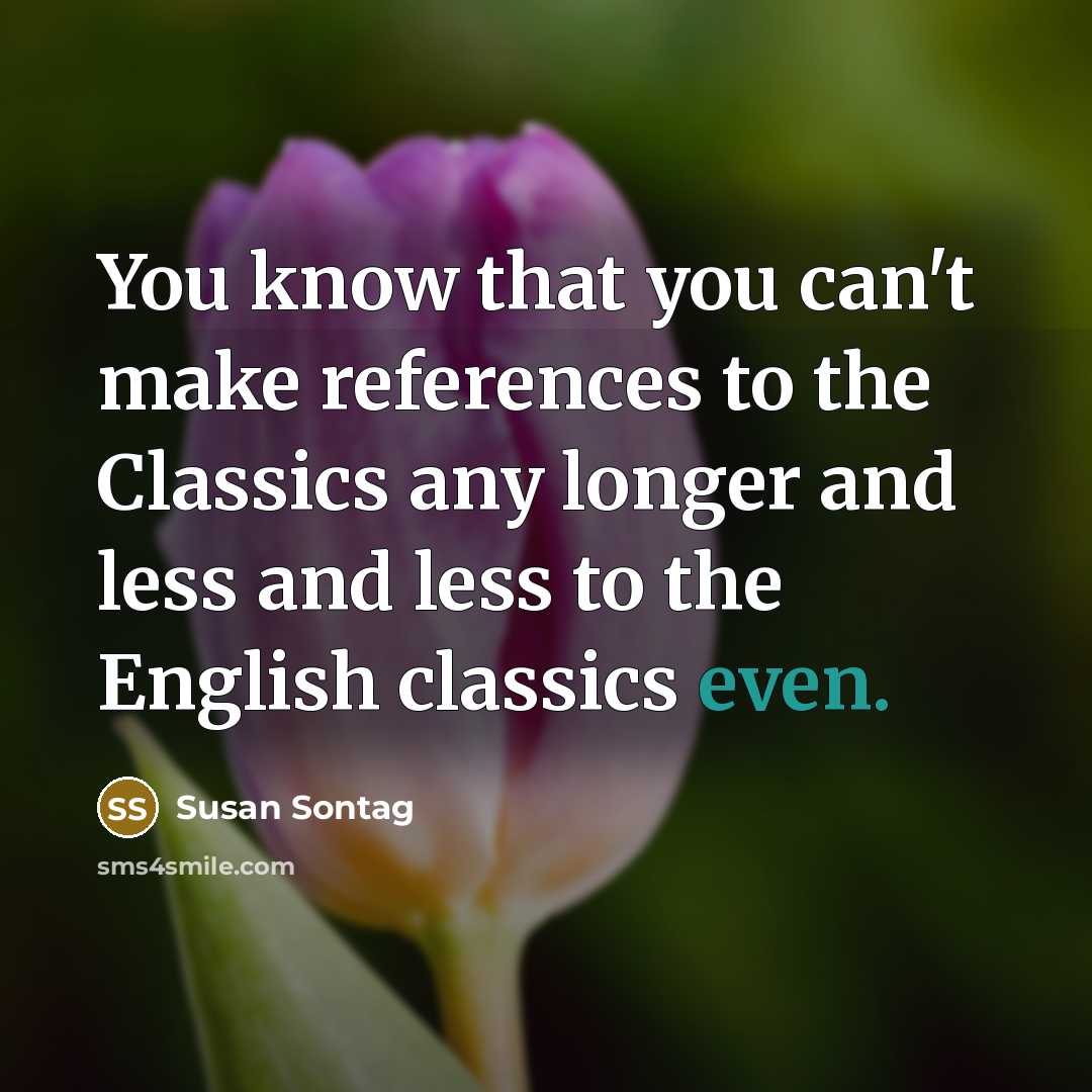 “You know that you can't make references to the Classics…” quote by Susan Sontag
