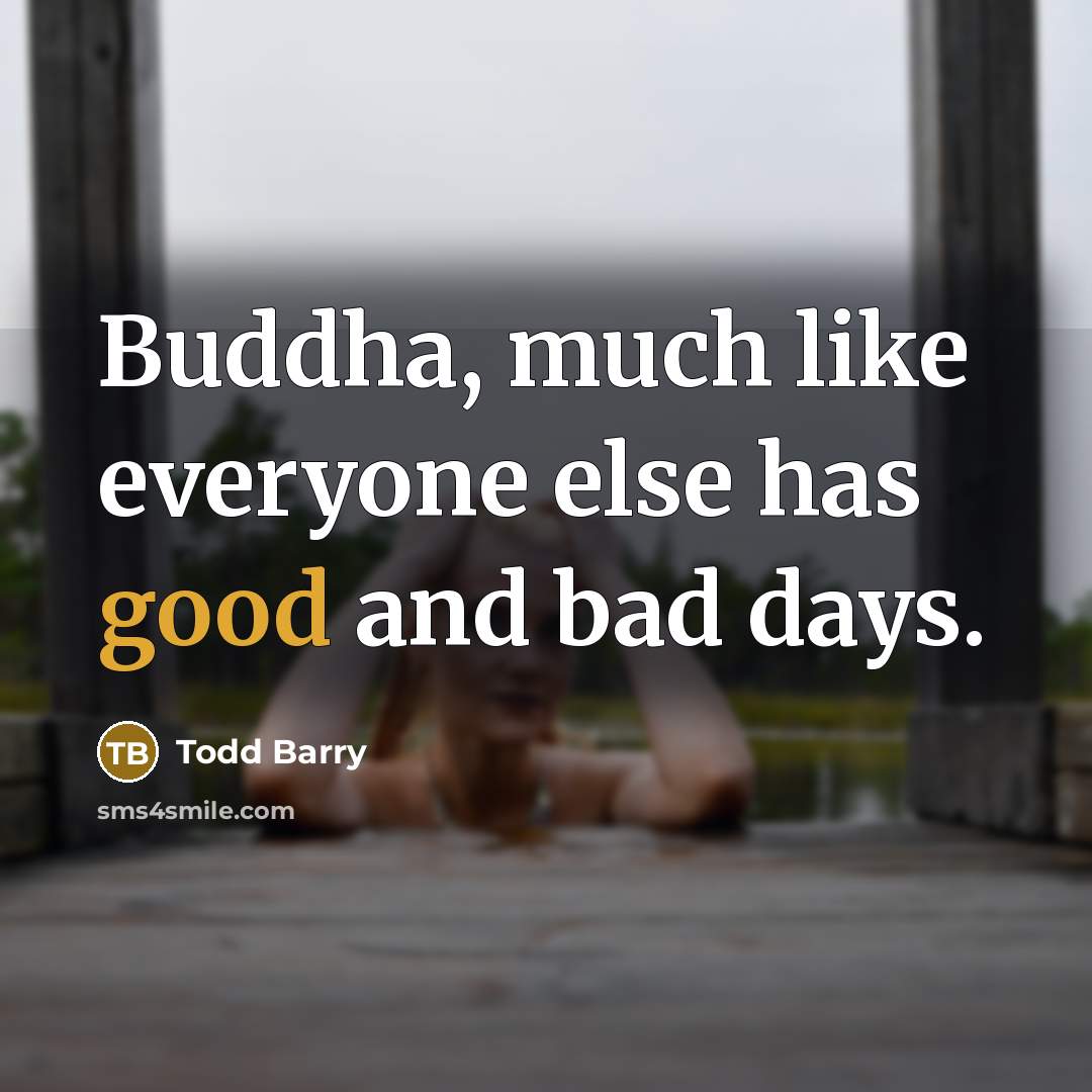 “Buddha, much like everyone else has good and bad days.…” quote by Todd Barry
