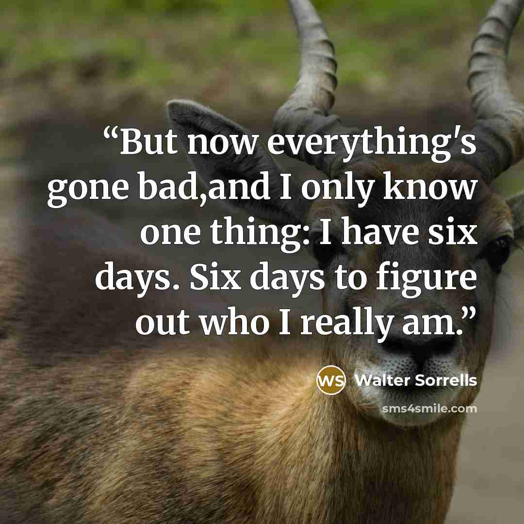 “But now everything's gone bad,and I only know one thing: I have six days. Six days to figure out who I really am.” quote by Walter Sorrells