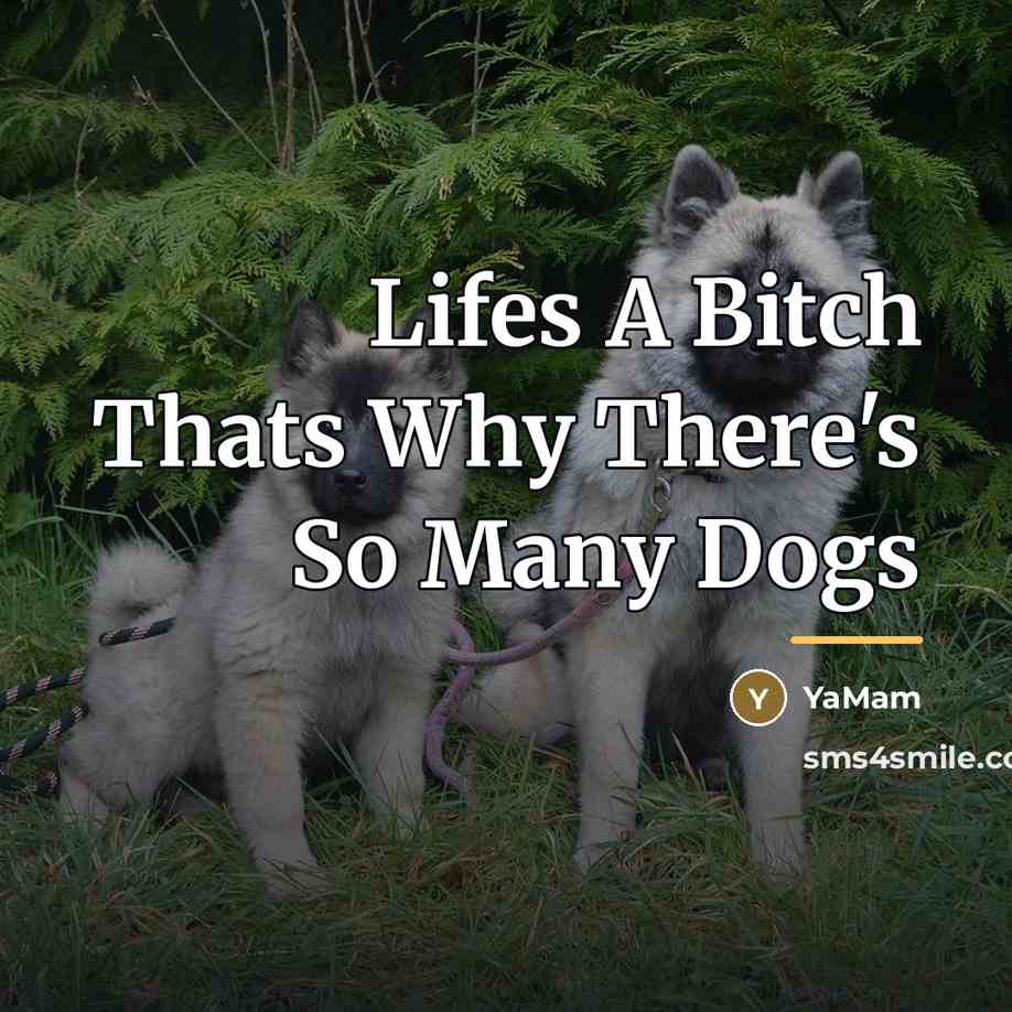 “Lifes A Bitch Thats Why There's So Many Dogs…” quote by YaMam