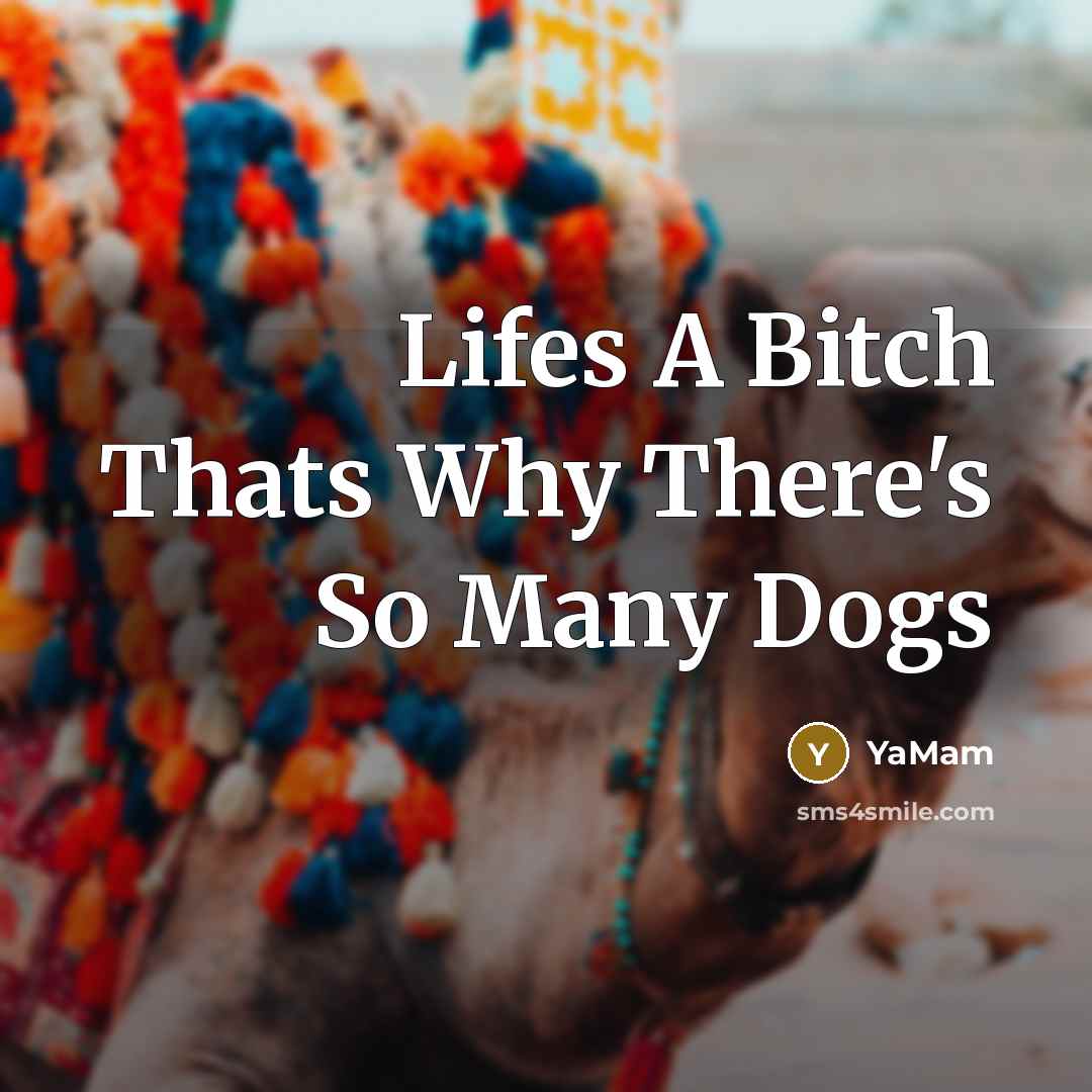 “Lifes A Bitch Thats Why There's So Many Dogs” quote by YaMam