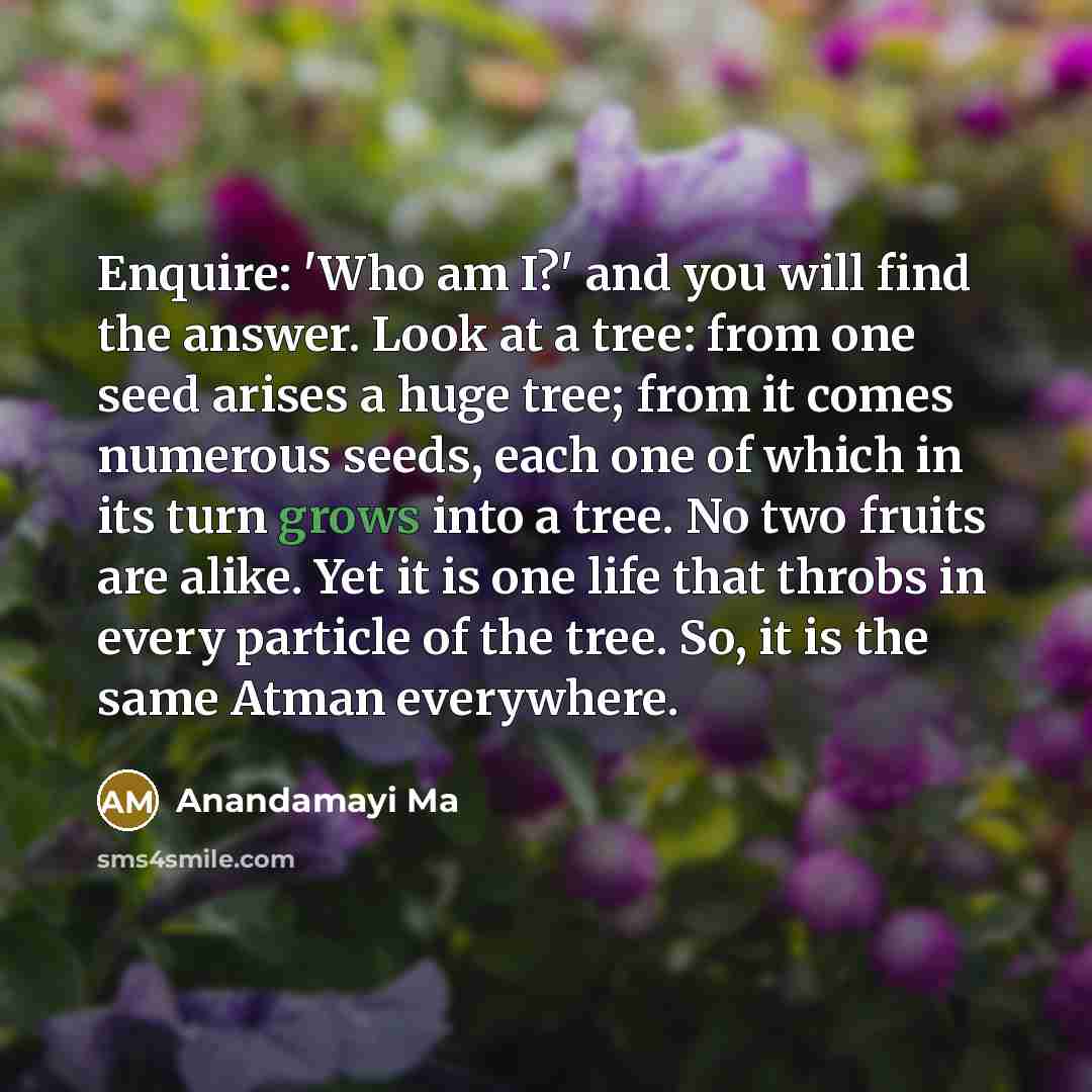“Enquire: 'Who am I?' and you will find the answer.…” quote by Anandamayi Ma
