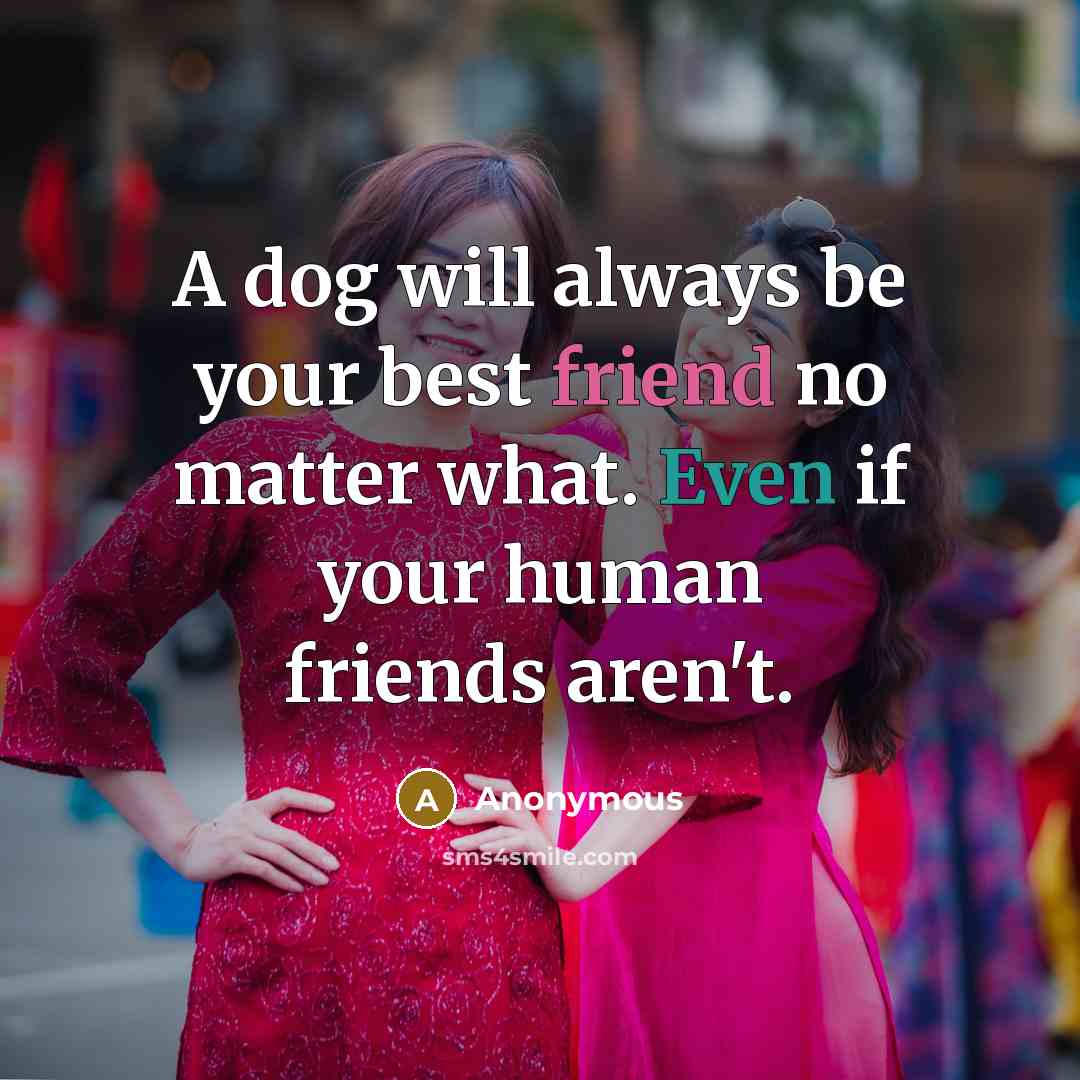 “A dog will always be your best friend no matter…” quote by Anonymous