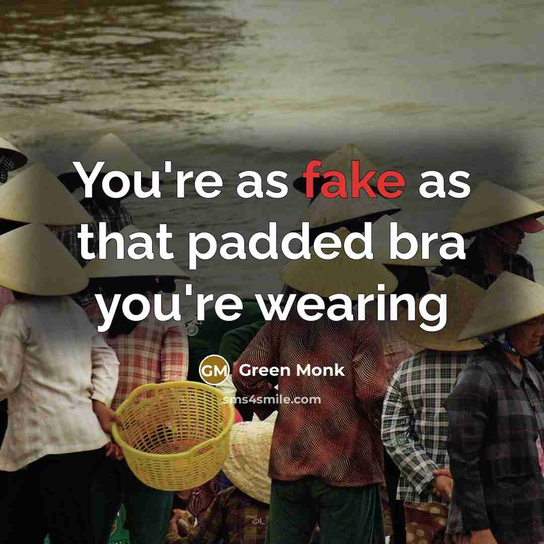 “You're as fake as that padded bra you're wearing” quote by Green Monk