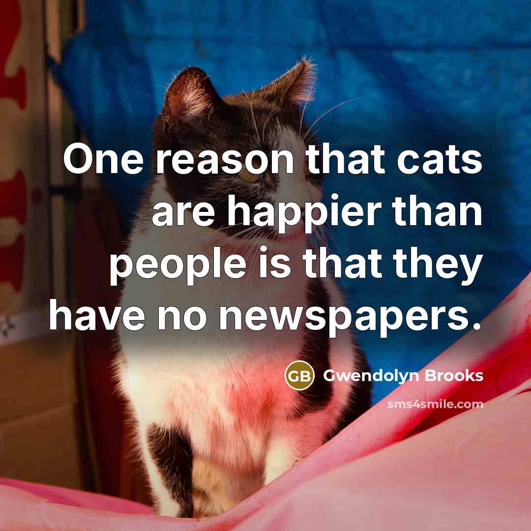 “One reason that cats are happier than people is that…” quote by Gwendolyn Brooks