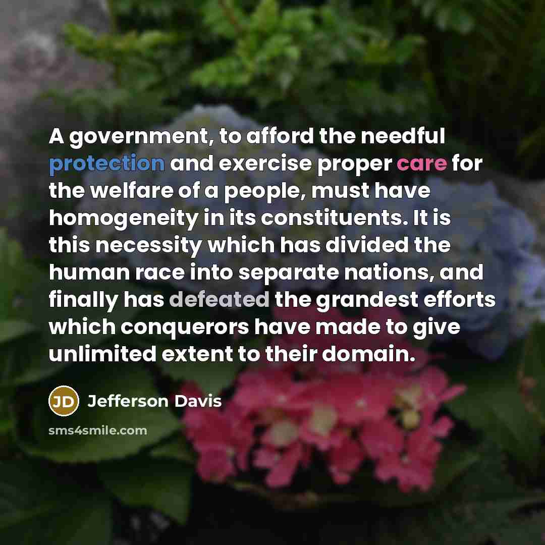 “A government, to afford the needful protection and exercise proper…” quote by Jefferson Davis