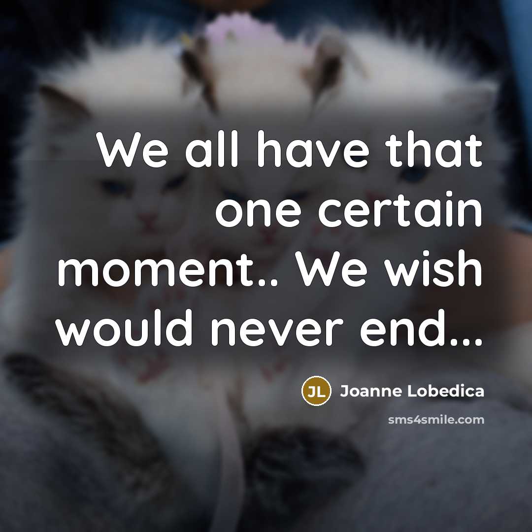 “We all have that one certain moment.. We wish would…” quote by Joanne Lobedica