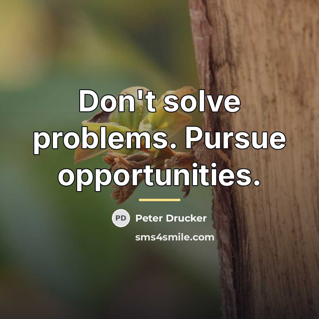 “Don't solve problems. Pursue opportunities.…” quote by Peter Drucker