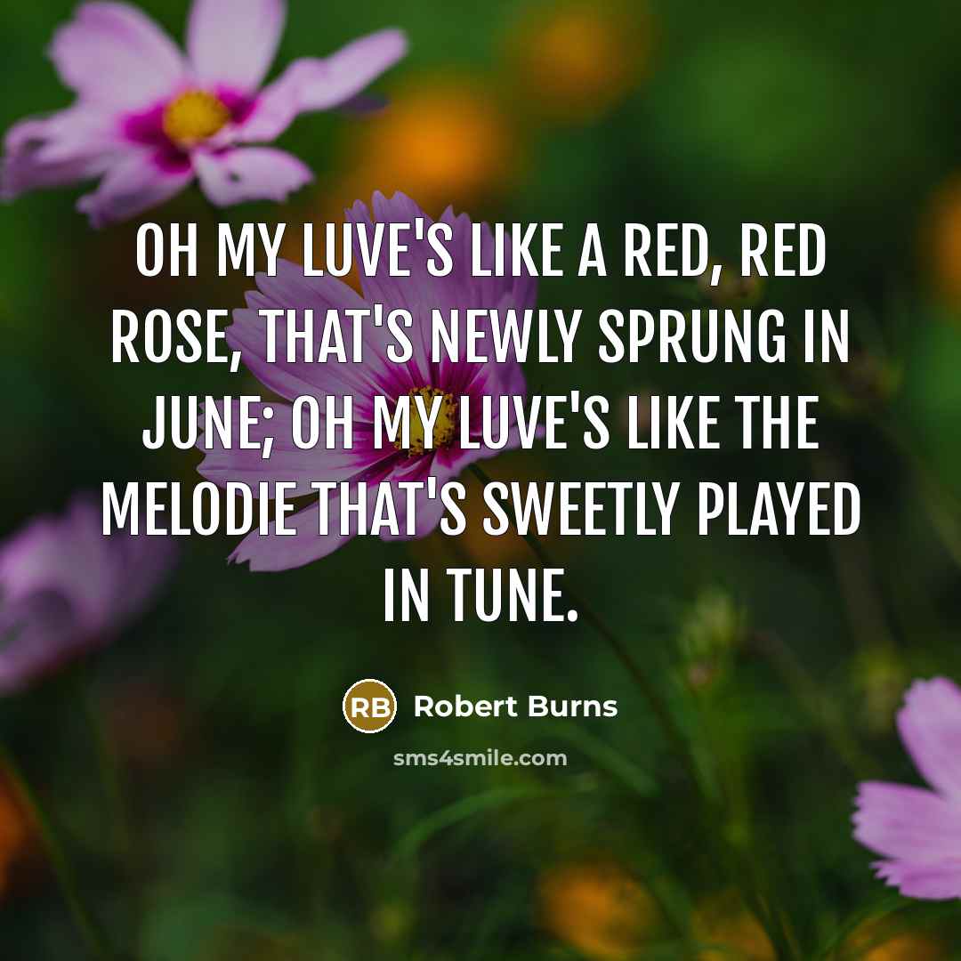 “Oh my luve's like a red, red rose, That's newly…” quote by Robert Burns