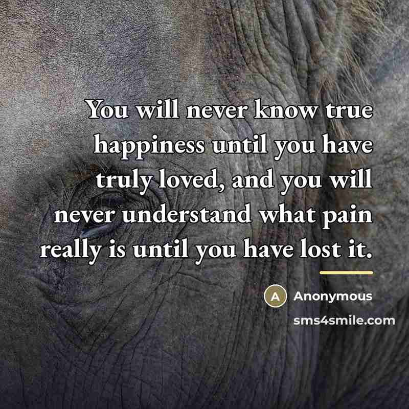 “You will never know true happiness until you have truly…” quote by Anonymous