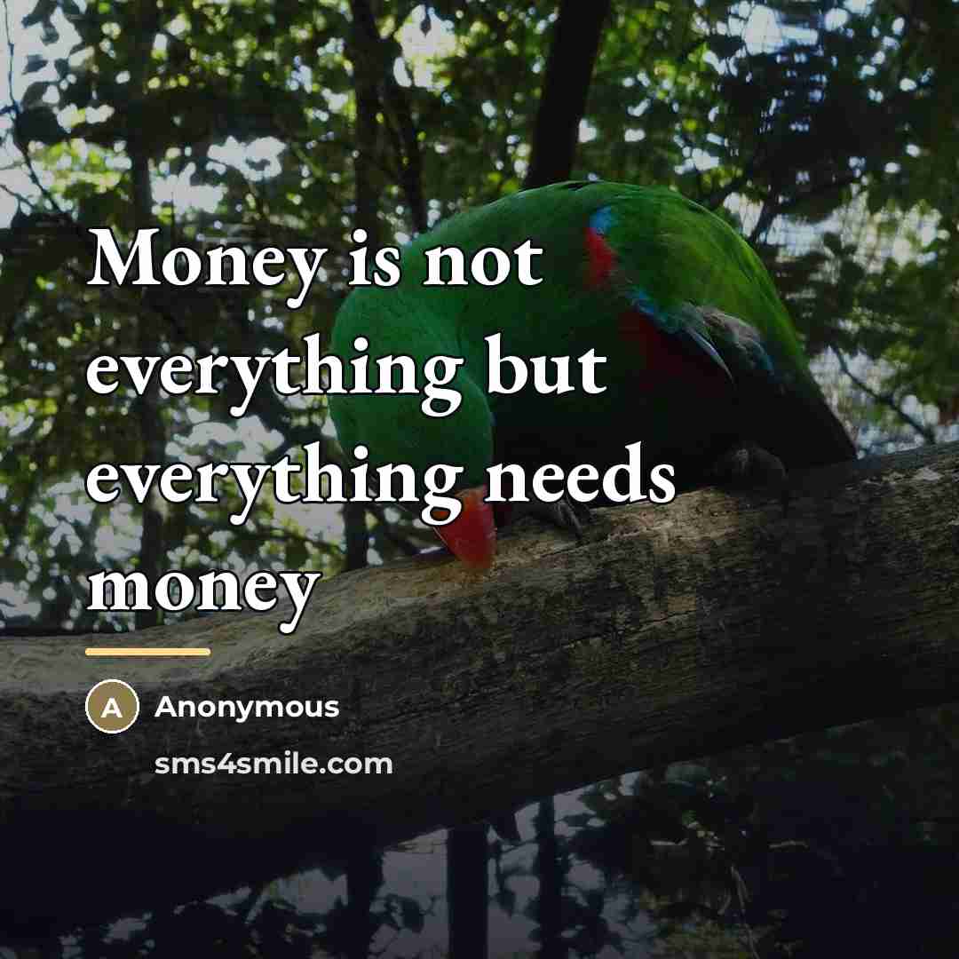 “Money is not everything but everything needs money…” quote by Anonymous