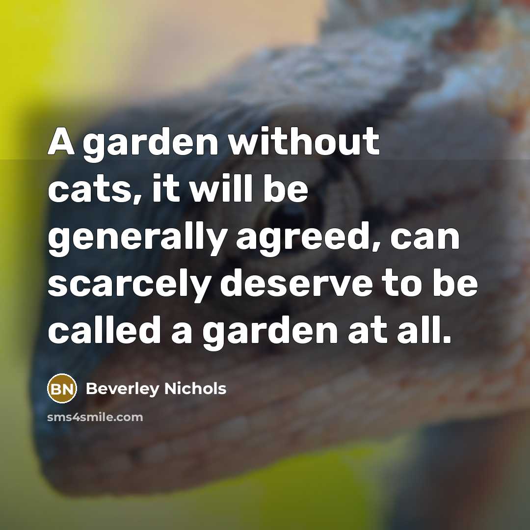 “A garden without cats, it will be generally agreed, can…” quote by Beverley Nichols