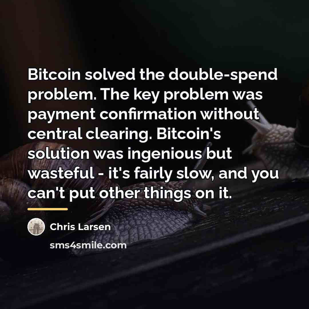 “Bitcoin solved the double-spend problem. The key problem was payment…” quote by Chris Larsen