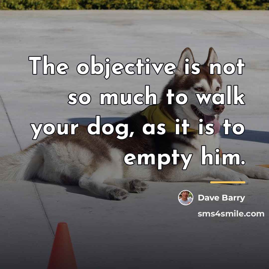 “The objective is not so much to walk your dog,…” quote by Dave Barry