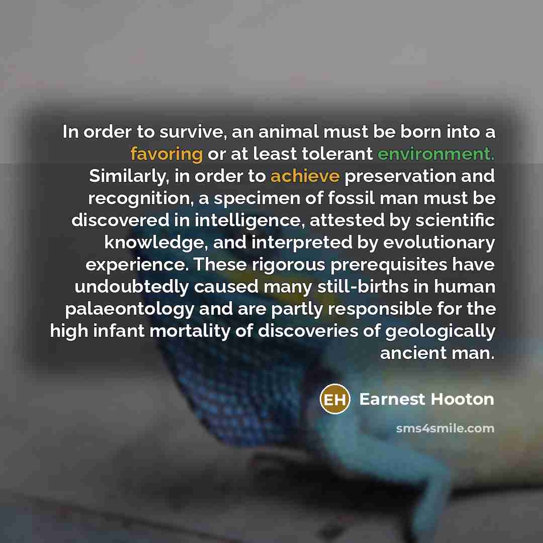 “In order to survive, an animal must be born into…” quote by Earnest Hooton