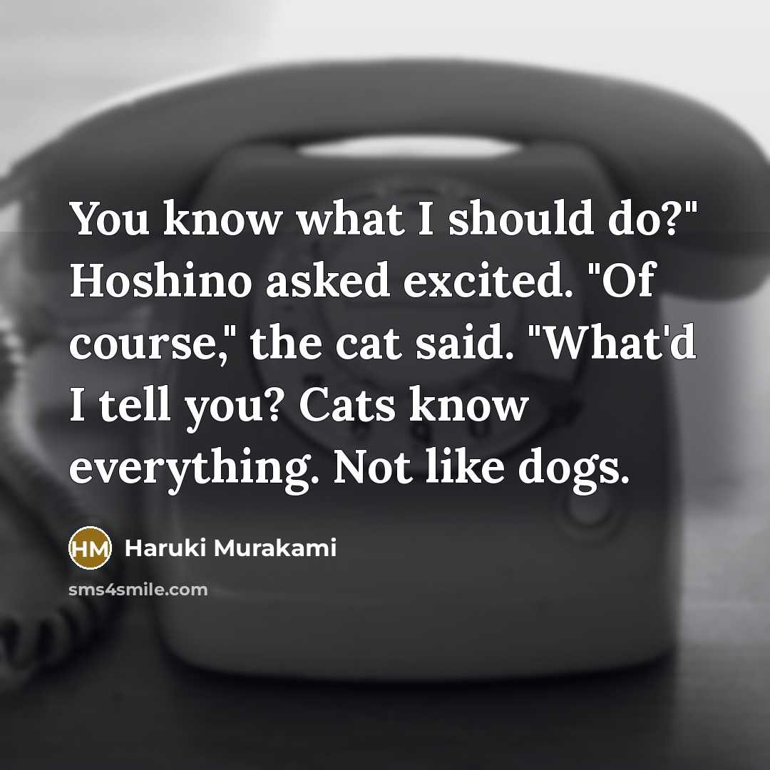 “You know what I should do?" Hoshino asked excited. "Of…” quote by Haruki Murakami