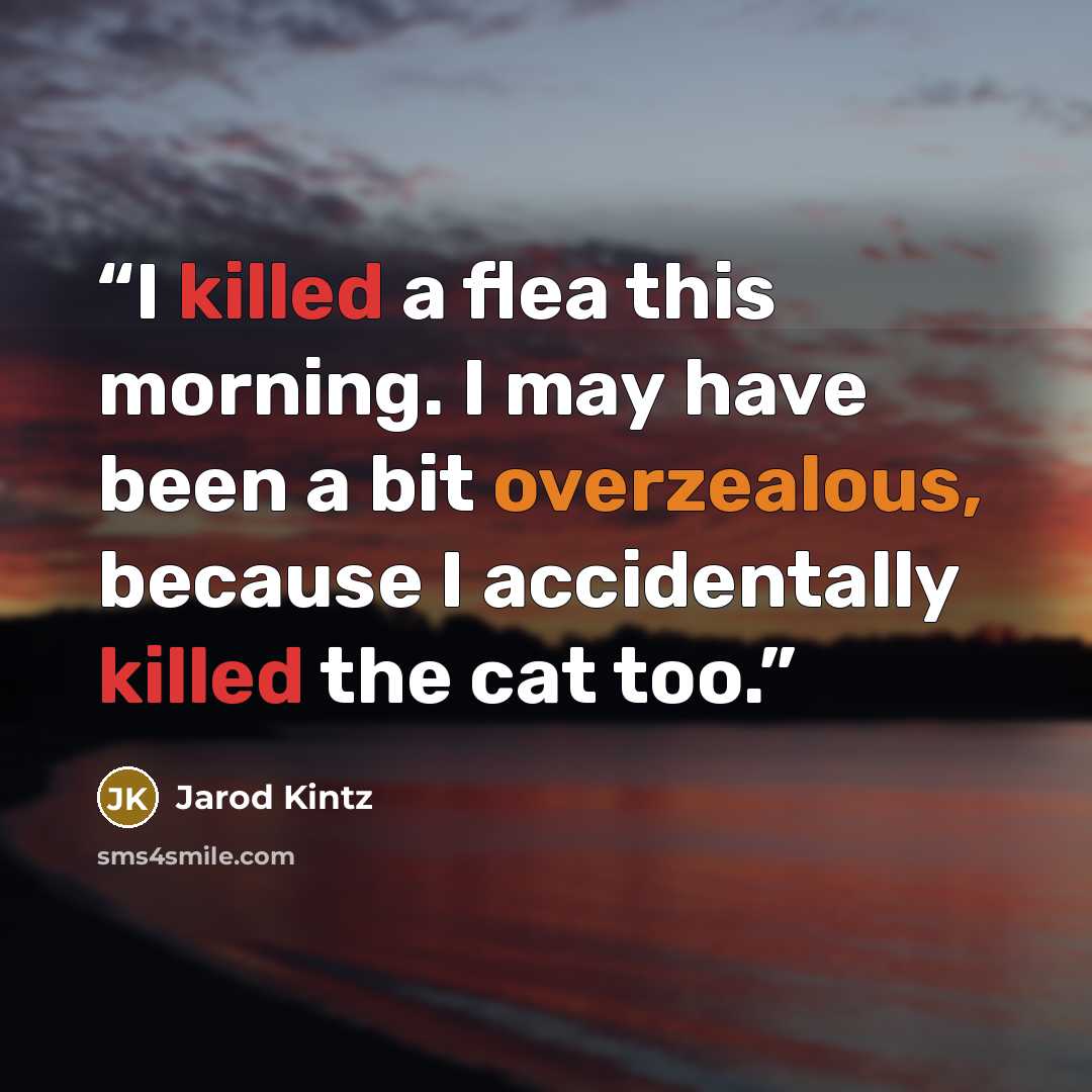 “I killed a flea this morning. I may have been a bit overzealous, because I accidentally killed the cat too.” quote by Jarod Kintz