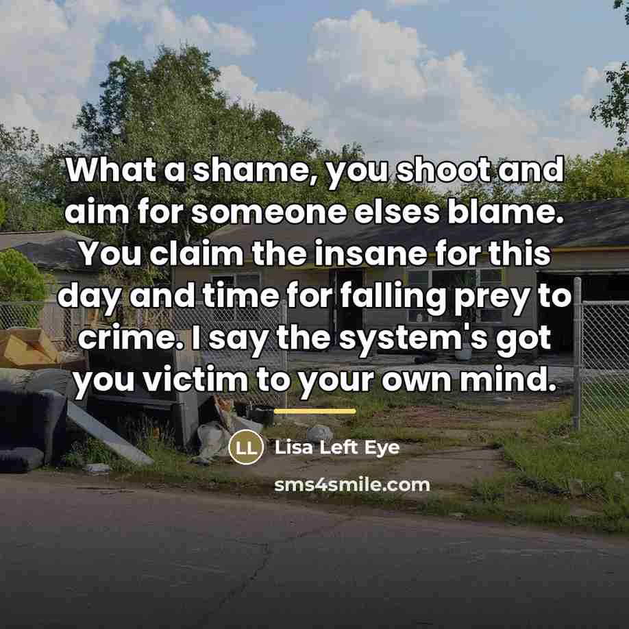 “What a shame, you shoot and aim for someone elses…” quote by Lisa Left Eye