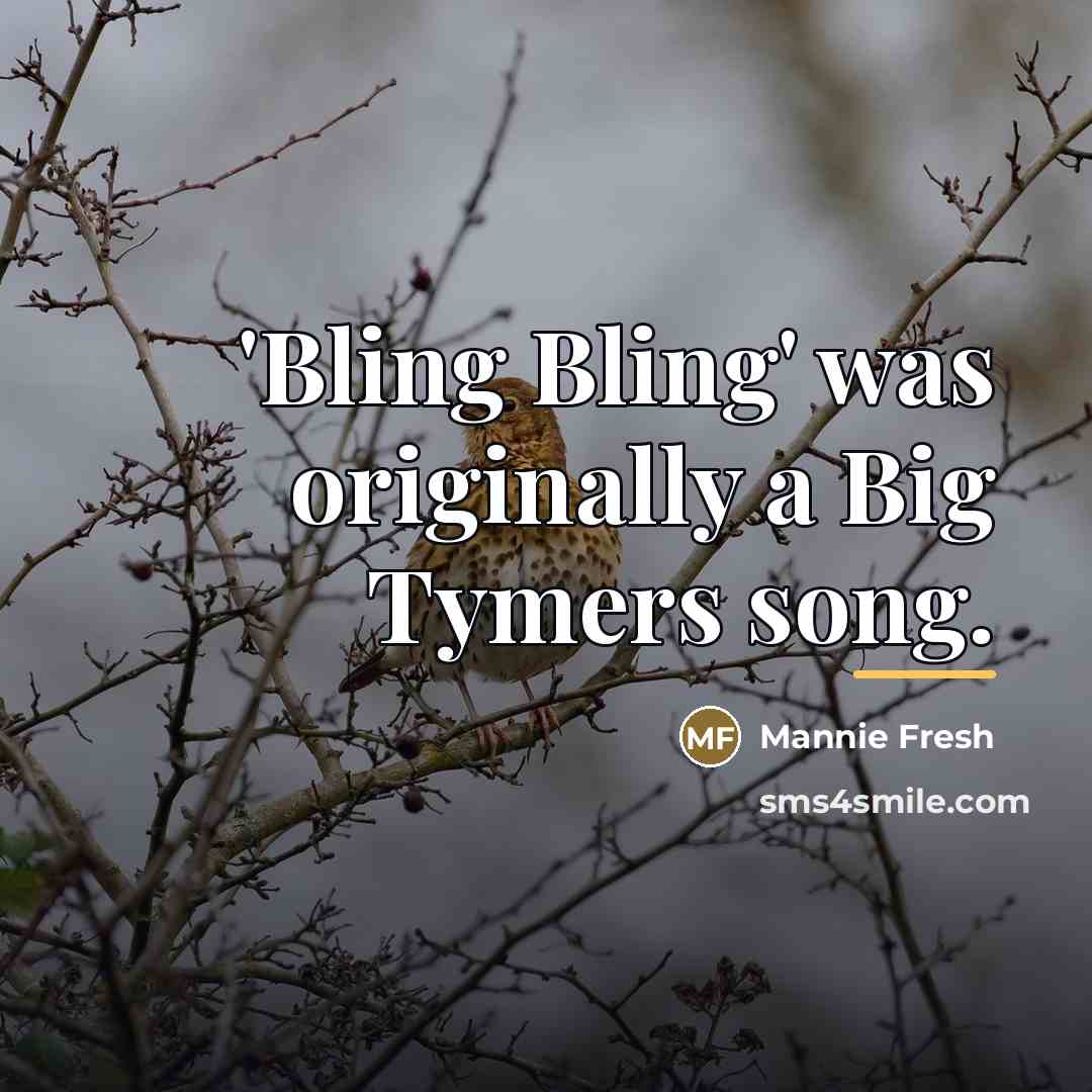 “'Bling Bling' was originally a Big Tymers song.…” quote by Mannie Fresh