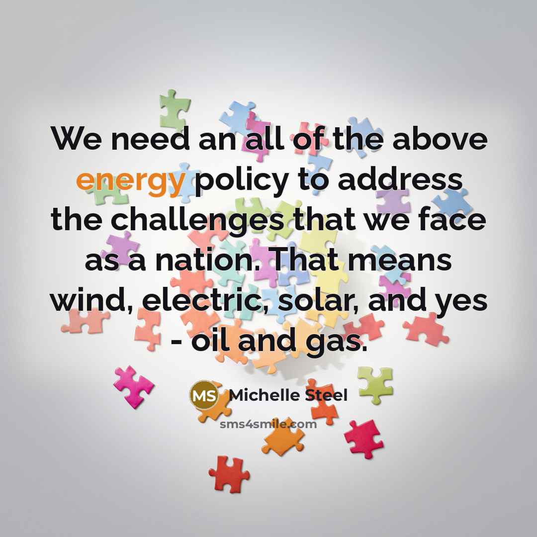 “We need an all of the above energy policy to…” quote by Michelle Steel