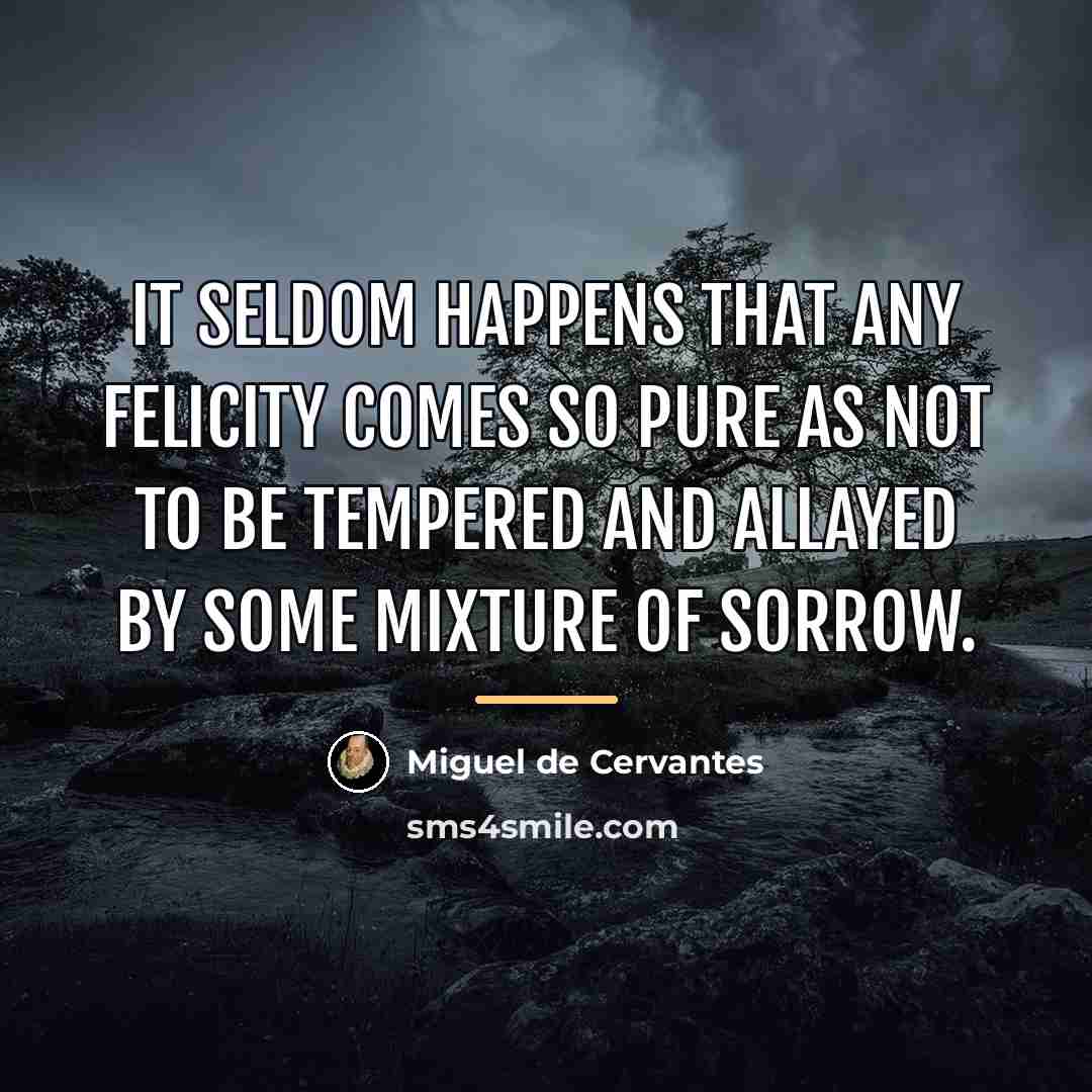 “It seldom happens that any felicity comes so pure as…” quote by Miguel de Cervantes