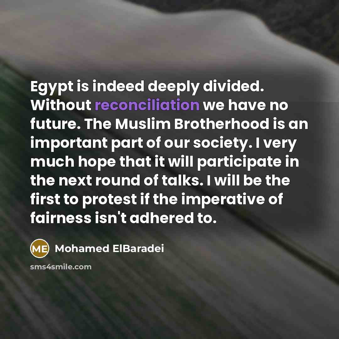 “Egypt is indeed deeply divided. Without reconciliation we have no…” quote by Mohamed ElBaradei