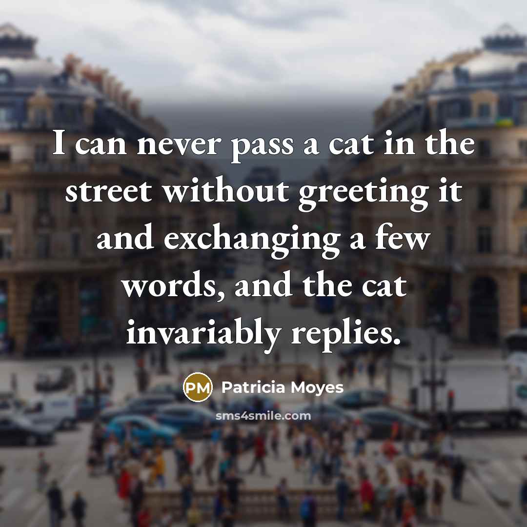 “I can never pass a cat in the street without…” quote by Patricia Moyes