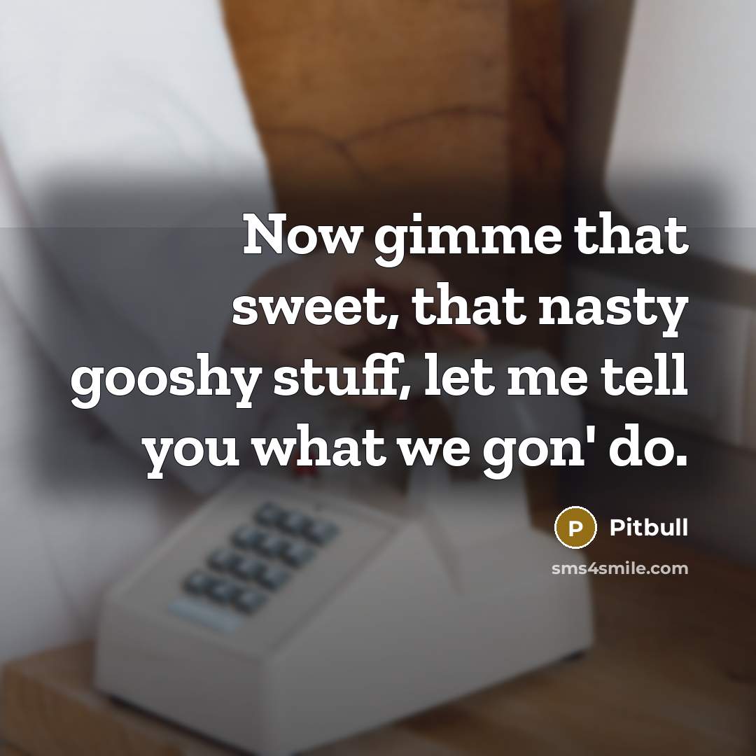 “Now gimme that sweet, that nasty gooshy stuff, let me…” quote by Pitbull