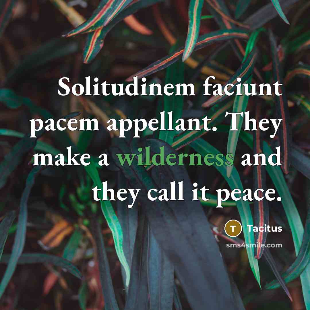 “Solitudinem faciunt pacem appellant. They make a wilderness and they…” quote by Tacitus