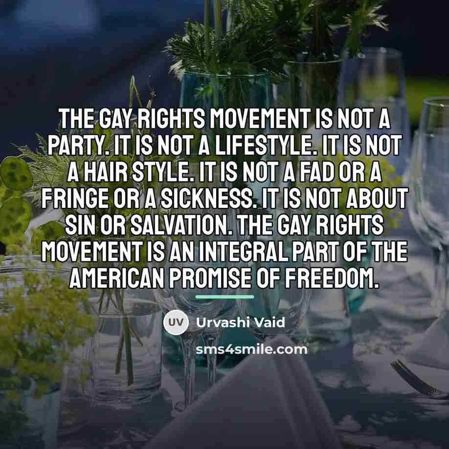 “The gay rights movement is not a party. It is…” quote by Urvashi Vaid