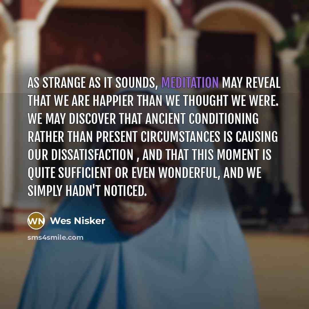 “As strange as it sounds, meditation may reveal that we…” quote by Wes Nisker