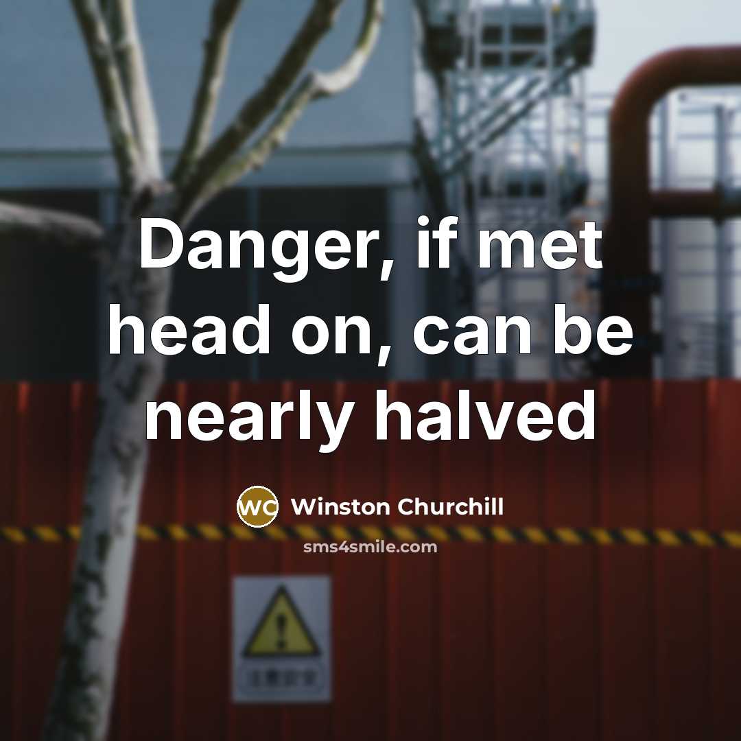 “Danger, if met head on, can be nearly halved…” quote by Winston Churchill
