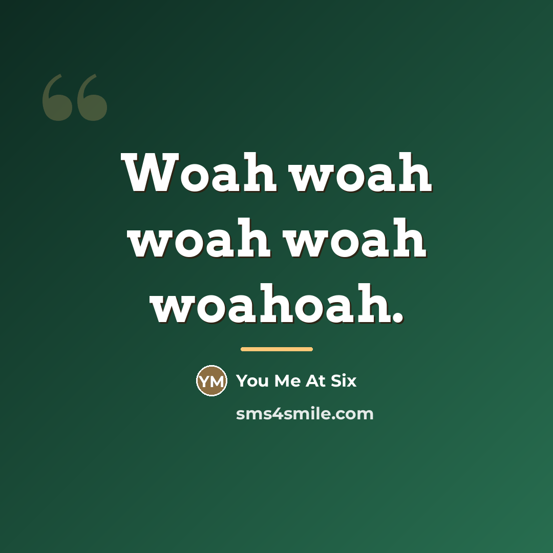 “Woah woah woah woah woahoah.…” quote by You Me At Six
