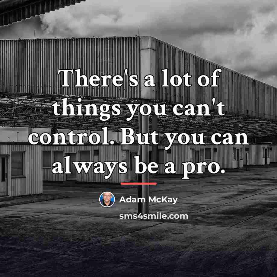 “There's a lot of things you can't control. But you…” quote by Adam McKay